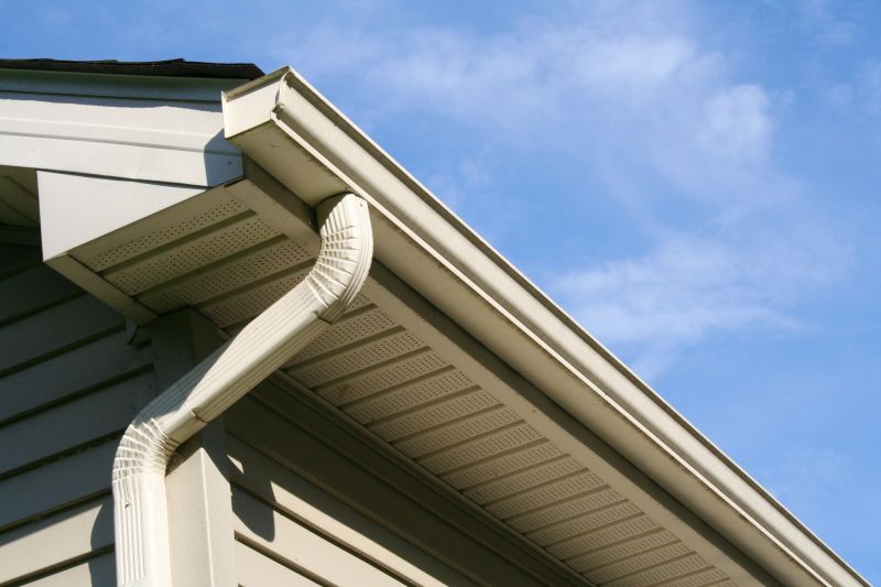 Gutter Cleaning Access